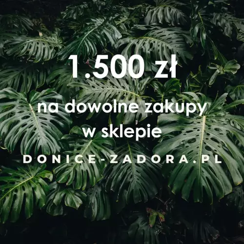 Karta podarunkowa DONICE-ZADORA.PL - 1500 zł